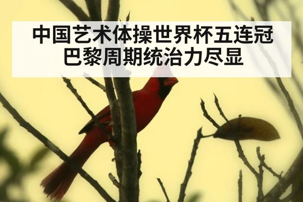 中国艺术体操世界杯五连冠 巴黎周期统治力尽显